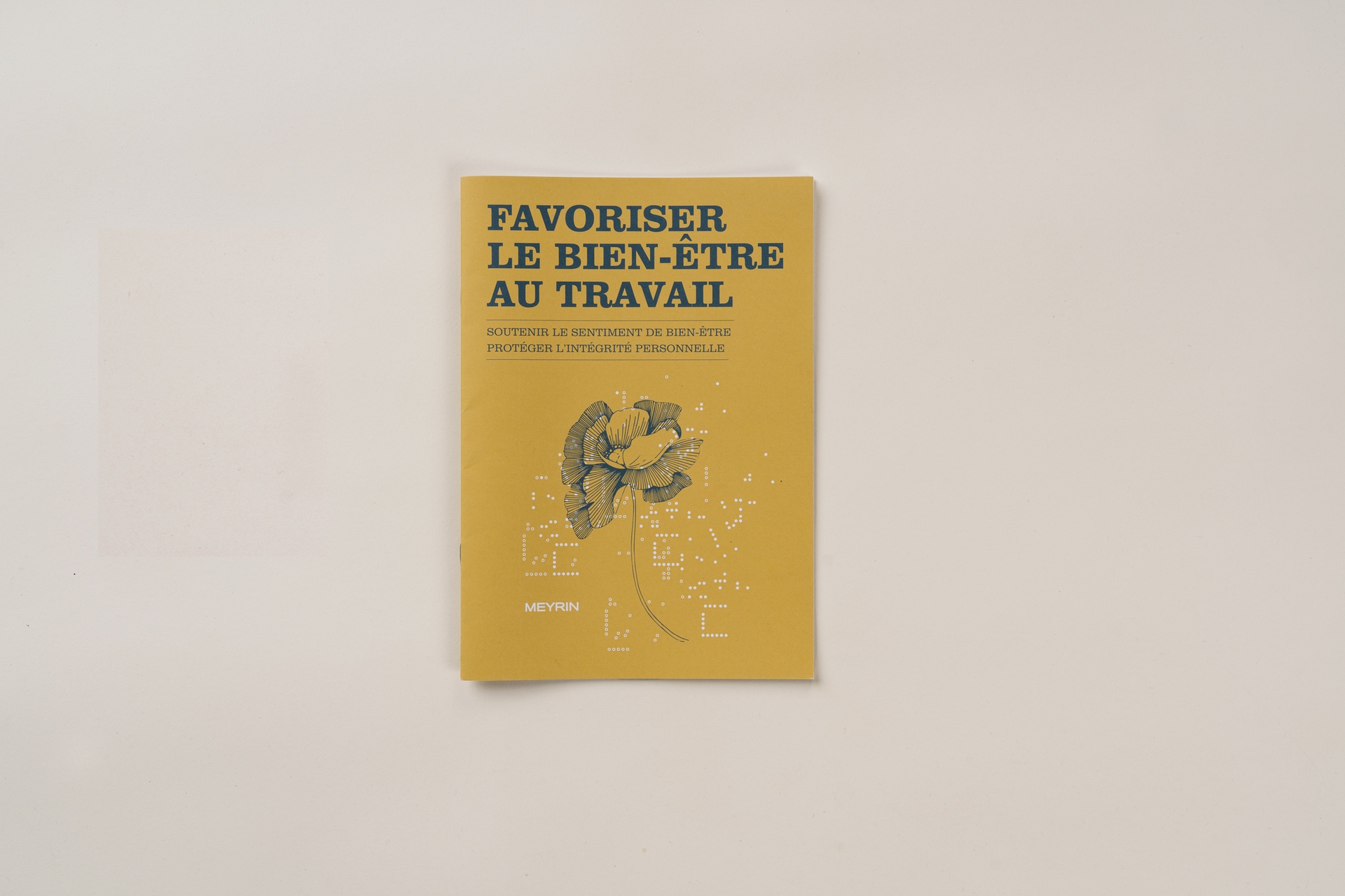 Meyrin - Fête des écoles